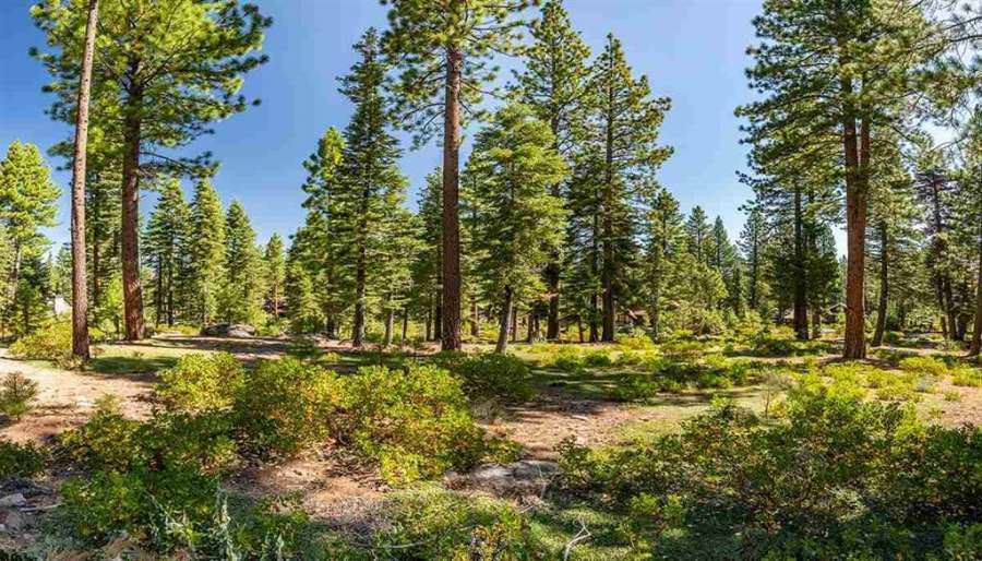 Picturesque Lahontan Homesite | 12356 Garwood Dean