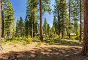 Lahontan Homesite | 12356 Garwood Dean