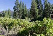 Truckee Land for Sale | 8601 Lloyd Tevis