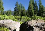 Truckee Land for Sale | 8601 Lloyd Tevis