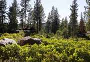 Lahontan Lot for Sale | 8601 Lloyd Tevis