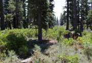 Lahontan Lot for Sale | 8601 Lloyd Tevis