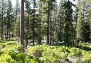 Truckee Lot for Sale | 8601 Lloyd Tevis