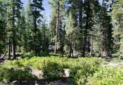 Lahontan Land for Sale | 8601 Lloyd Tevis