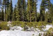 Lahontan Land for Sale  | 8601 Lloyd Tevis