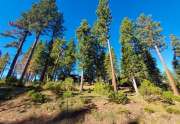 Lahontan Homesite - Truckee Golf Course Real Estate