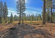 Schaffer's Mill Lots for Sale in Truckee, CA