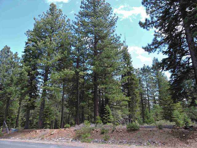 11853 Saddleback Dr. | Truckee Vacant Land