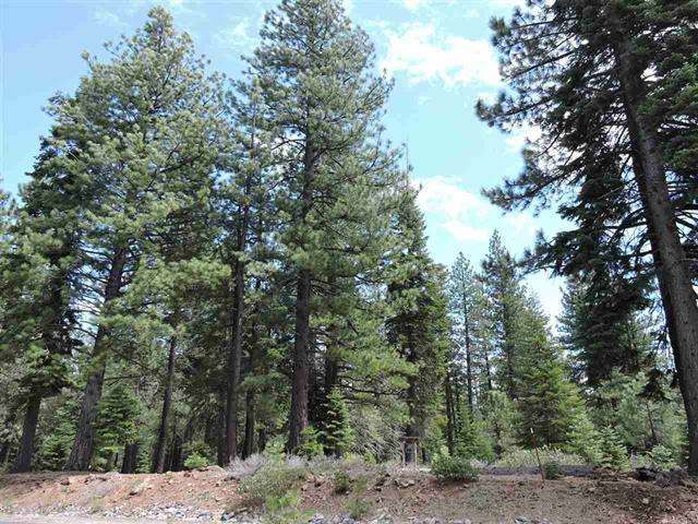 11853 Saddleback Dr. | Pine Forest Vacant Land in Truckee
