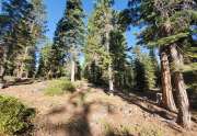 Tahoe lots for sale and vacant land