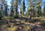 Build your dream home in Lake Tahoe | Vacant Land
