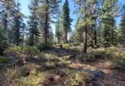 Build your dream home in Lake Tahoe | Vacant Land