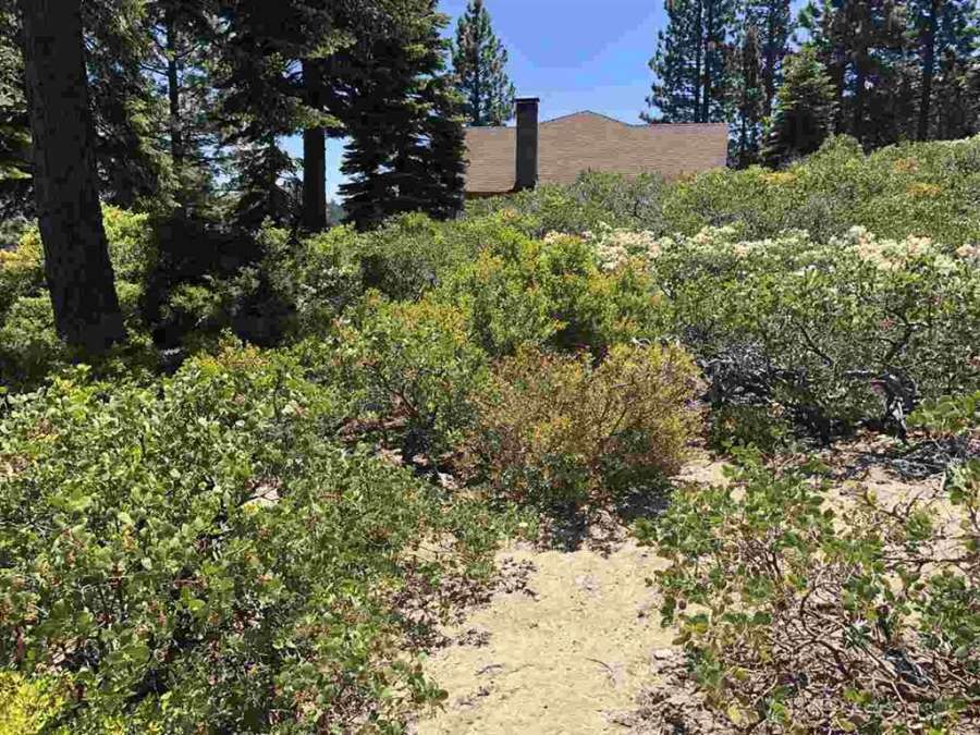Tahoma Lake View Lot | 9120 Scenic Drive