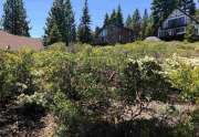 Tahoma Lake View Lot | 9120 Scenic Drive