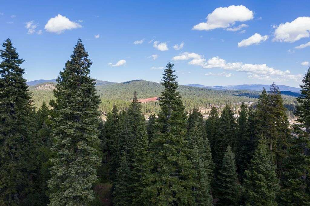 Truckee Lot for Sale | 10530 Aspenwood Rd | Tree Lined View