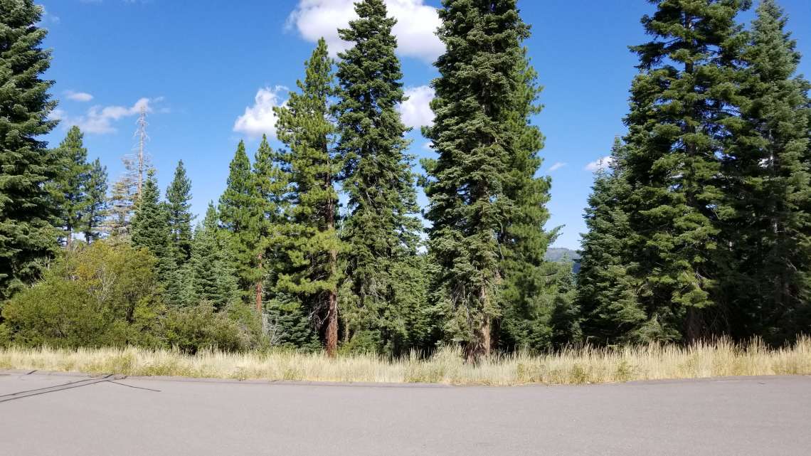 Truckee  Land for Sale  | 10530 Aspenwood Rd |   View of Truckee Lot for Sale