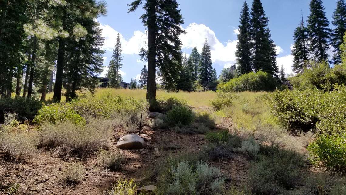 Truckee  Property for Sale  | 10530 Aspenwood Rd |   View of Trees on Truckee Lot for Sale