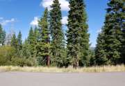 Truckee  Land for Sale  | 10530 Aspenwood Rd |   View of Truckee Lot for Sale