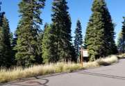 Truckee  Real Estate for Sale  | 10530 Aspenwood Rd |  Street View of Truckee Lot for Sale