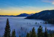 West-Shore-Lake-Tahoe-Trees-in-Fog