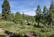 Truckee Lot for Sale | 13466 Hillside Drive