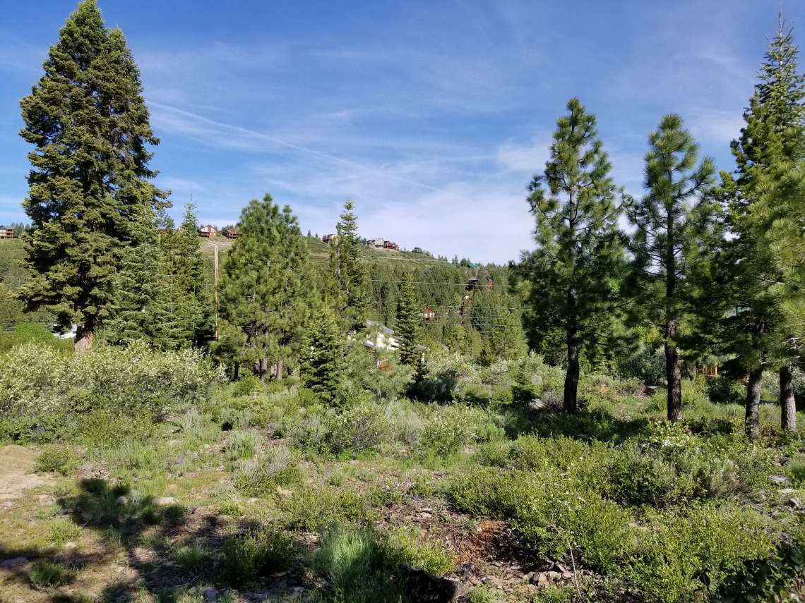 Tahoe Donner Vacant Land for Sale and Lot Listings