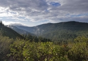 Mountain Views in Tahoe Donner