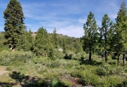 Tahoe Donner Vacant Land for Sale and Lot Listings