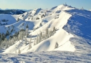 View from Estelle - Alpine Meadows