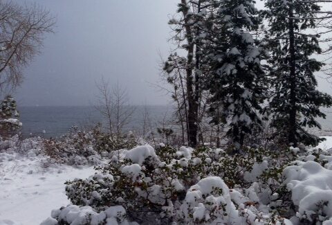 Lake Tahoe Snow