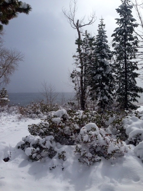 West Shore Lake Tahoe Image of snowy West Shore Lake Tahoe for 5 Feet of Fresh Snow in Lake Tahoe 2014 blog post