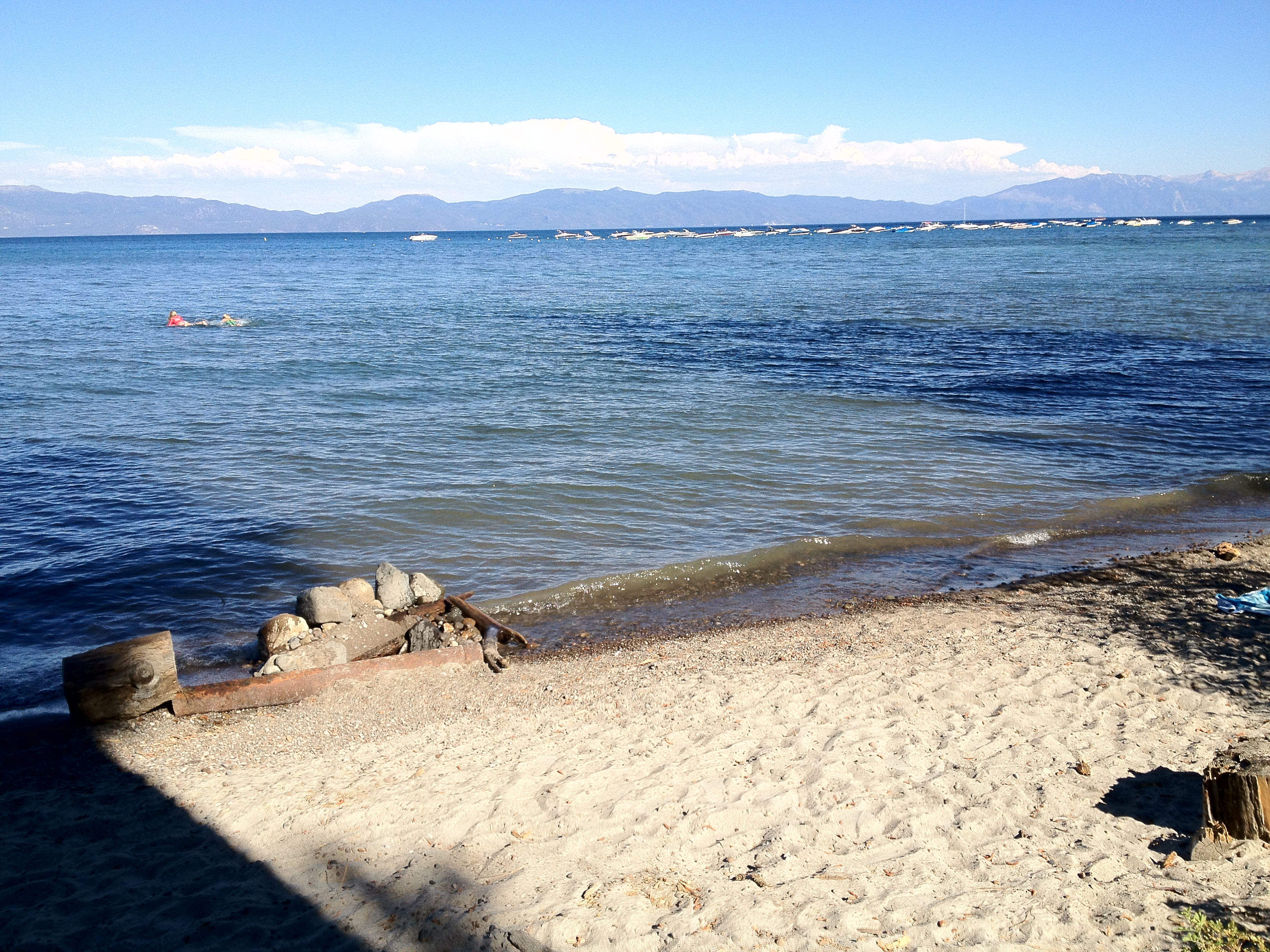 Dog Friendly Beaches in Lake Tahoe | Beaches to bring your dog to