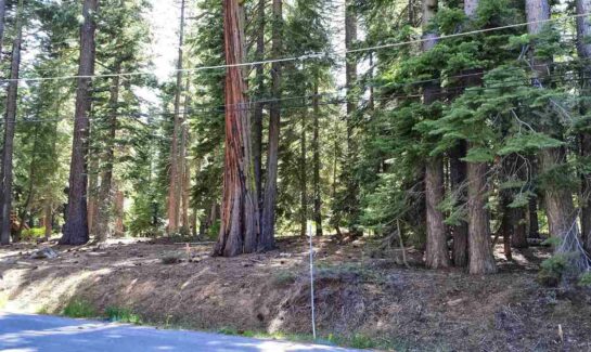 1200 Eidleweiss Lane | Vacant Lot in Tahoe City