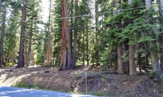 1200 Eidleweiss Lane | Vacant Lot in Tahoe City