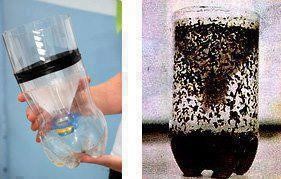 Images of Homemade Mosquito Trap