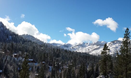 Alpine Meadows from Juniper Mountain