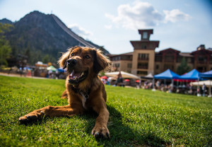 Peaks & Paws Squaw Valley
