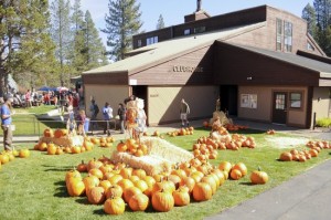 Image of Tahoe Donner Fall Festival for Top Fall Events in North Lake Tahoe blog post