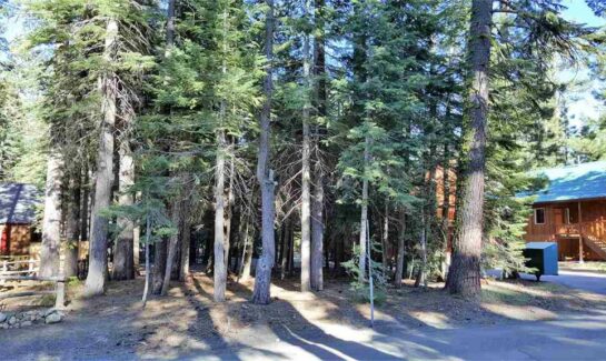 Image of lot with trees in Lake Tahoe for sale 7279 3rd Ave | Tahoe Cedars Lot for Sale