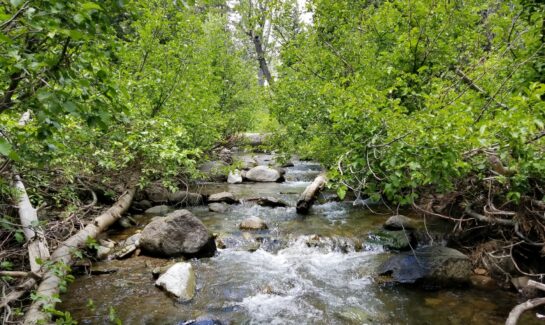 Alpine Meadows Vacant Land for Sale Backing to Bear Creek