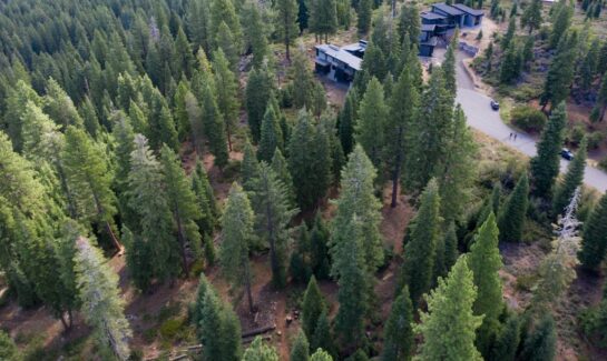 Beautiful Truckee Lot for Sale