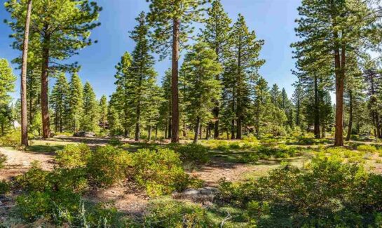 Picturesque Lahontan Homesite